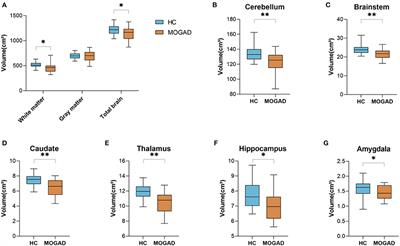 Volumetric Brain Loss Correlates With a Relapsing MOGAD Disease Course